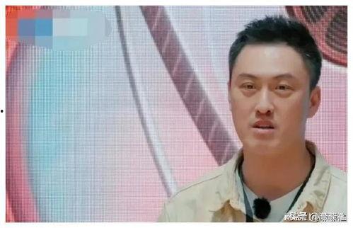 娱乐圈吃瓜汪东城是谁啊,揭秘“吃瓜”达人汪东城